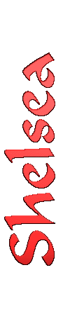 vertical bar: SHELSEA IMAGE